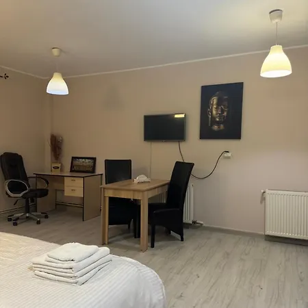 Apartament City Central *