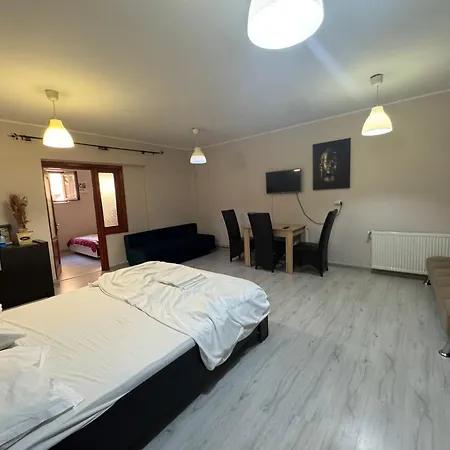Apartament City Central 公寓 康斯坦察